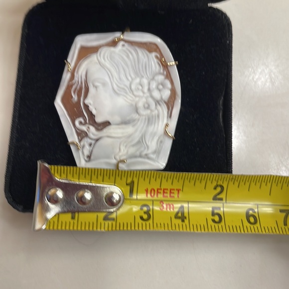 Gorgeous cameo pin/pendant - Picture 7 of 7
